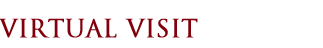 Virtual Visit