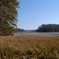 Marsh and creek at Werowocomoco